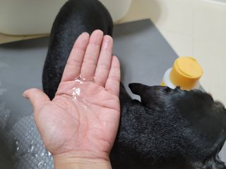 아로님이 올린 리뷰 사진 3