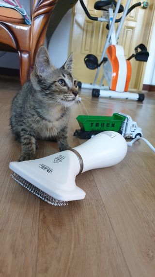 쭈니님이 올린 리뷰 사진 1