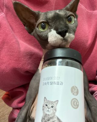 Dobby님이 올린 리뷰 사진 1