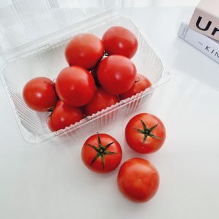 레드닥터 완숙토마토 + 통째로 동결건조한 대추방울토마토 — 5점을 준 리뷰어가 2022년 12월 올린 사용 사진