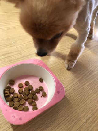 다솜다빈이아빠님이 올린 리뷰 사진 3