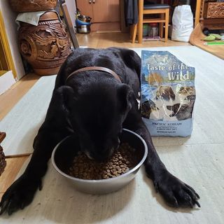 기린짱맘님이 올린 리뷰 사진 3