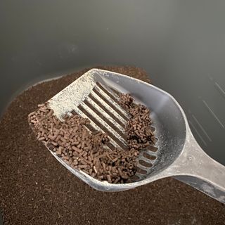 연이님이 올린 리뷰 사진 3