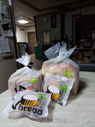 롯데제과 Vbread 포카치아식빵1개 + 미니식빵 1개 + 머핀 2개 세트 — 5점을 준 리뷰어가 2021년 9월 올린 사용 사진