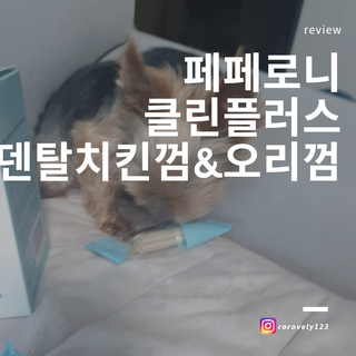 페페로니 2종 세트 클린플러스 덴탈껌 치킨+덕 — 3점을 준 리뷰어가 2021년 8월 올린 사용 사진