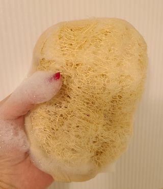 닝닝닝닝닝님이 올린 리뷰 사진 4