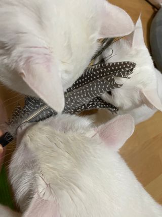 모너아리님이 올린 리뷰 사진 2
