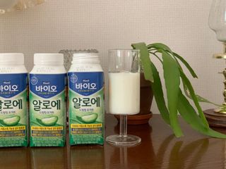 LIVE 매일바이오 알로에 드링킹 요거트 — 5점을 준 리뷰어가 2022년 4월 올린 사용 사진