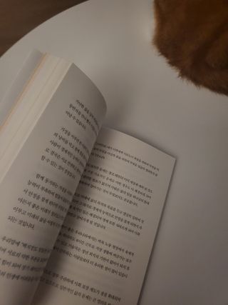 오둥이맘님이 올린 리뷰 사진 2