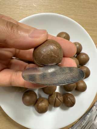 비나프렌즈 (구매평) 25년 햇 수확 알큰 프리미엄 껍질 까먹는 통 마카다미아 — 5점을 준 리뷰어가 2025년 8월 올린 사용 사진