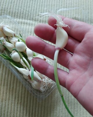 람보슈터님이 올린 리뷰 사진 3
