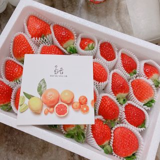 옳음 딸기 논산 설향 딸기 900g 산지직송 — 5점을 준 리뷰어가 2021년 1월 올린 사용 사진