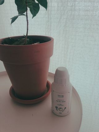 뽕순이님이 올린 리뷰 사진 1