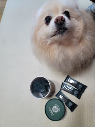 나초단맘님이 올린 리뷰 사진 1