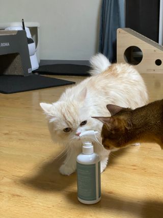 ODOKII님이 올린 리뷰 사진 4