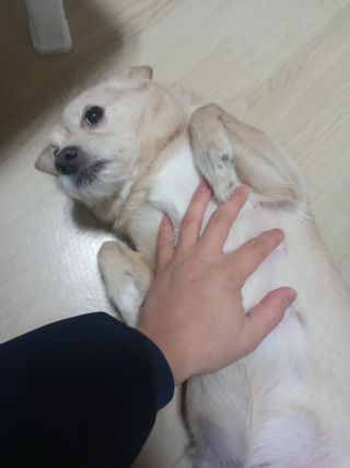 유나대디 임정환님이 올린 리뷰 사진 3