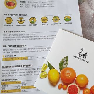 옳음 딸기 논산 설향 딸기 900g 산지직송 — 5점을 준 리뷰어가 2021년 1월 올린 사용 사진