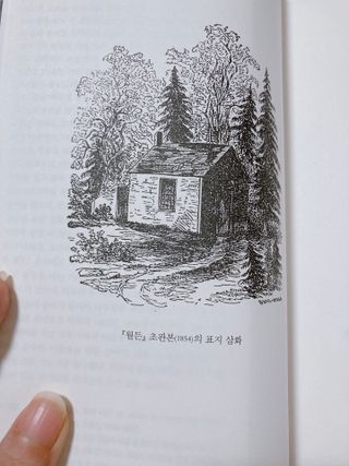 엘리오복숭아님이 올린 리뷰 사진 2