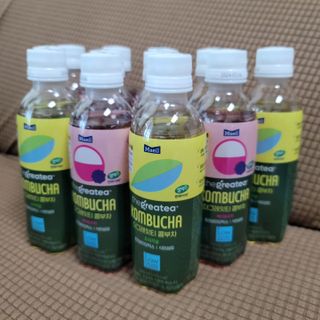 더그레잇티 콤부차 [매일유업] 더그레잇티 44kcal 콤부차 300ml *12개입 (오리지널 6개+베리리치 6개) — 5점을 준 리뷰어가 2023년 7월 올린 사용 사진