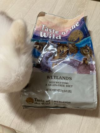 또왔엉님이 올린 리뷰 사진 1