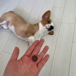 오랑캐님이 올린 리뷰 사진 2