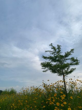 ㄹ진님이 올린 리뷰 사진 3