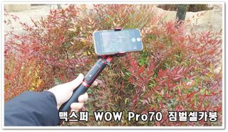 번개맘님이 올린 리뷰 사진 1