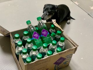 몽베스트 Montbest with Sparkling water Plain 20병 — 5점을 준 리뷰어가 2022년 9월 올린 사용 사진