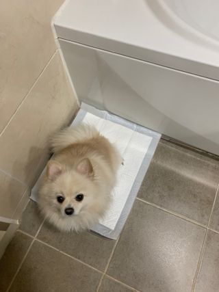 별이빛나길님이 올린 리뷰 사진 2