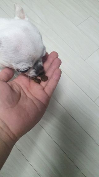 박쫑님이 올린 리뷰 사진 3