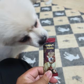 곰같은여우님이 올린 리뷰 사진 2