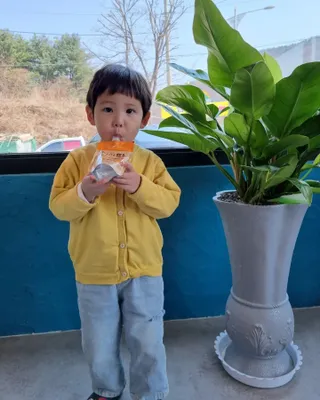 [몸엔용] 우리 아이 건강간식, 달콤한 녹용곤약젤리 디어팡 4종 — 5점을 준 리뷰어가 2022년 4월 올린 사용 사진