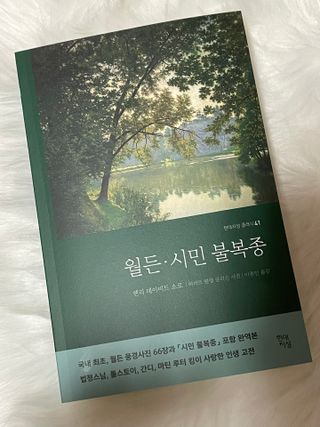 초코님이 올린 리뷰 사진 1