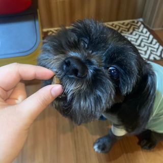 My Pet Care 천연단백질 관절건강에 개좋아 — 5점을 준 리뷰어가 2020년 12월 올린 사용 사진