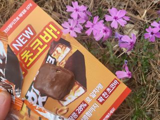 탱탱볼님이 올린 리뷰 사진 2