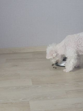 채원님이 올린 리뷰 사진 4