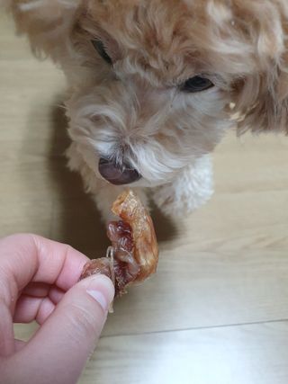 끌랑님이 올린 리뷰 사진 3