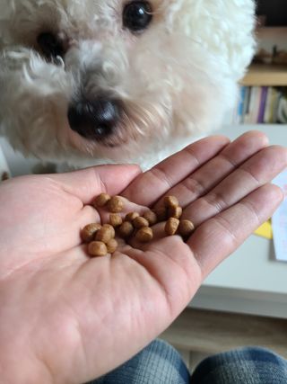 바다님이 올린 리뷰 사진 3