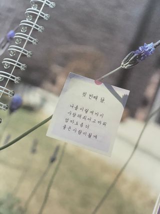 희랑님이 올린 리뷰 사진 3
