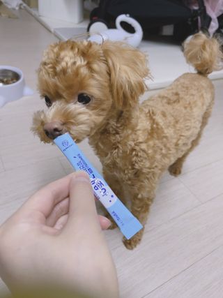 ehlove님이 올린 리뷰 사진 1