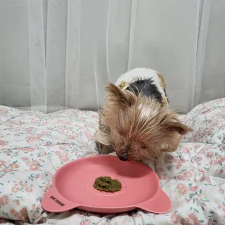 솜희님이 올린 리뷰 사진 3