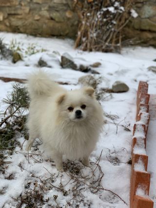 SooYeon님이 올린 리뷰 사진 1