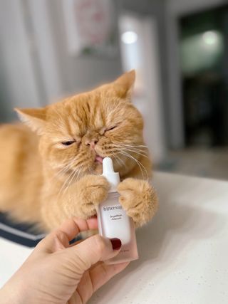 딸기우유님이 올린 리뷰 사진 1