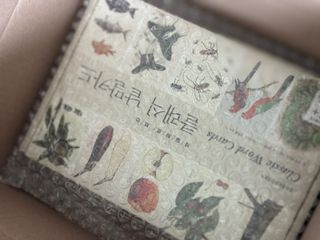 바바북스 바바 클래식 낱말카드 — 5점을 준 리뷰어가 2024년 1월 올린 사용 사진