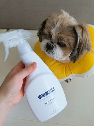 민우다빈이맘님이 올린 리뷰 사진 2