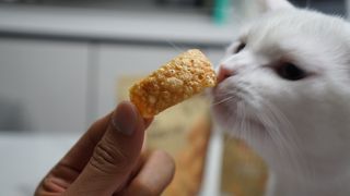 도르방구님이 올린 리뷰 사진 3