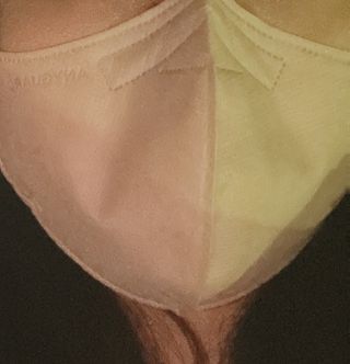 애니가드 셋업마스크 4컬러 각 10매입 [크리미베이지, 캐시미어로즈, 초콜렛브라운, 미드나잇네이비] — 5점을 준 리뷰어가 2022년 2월 올린 사용 사진
