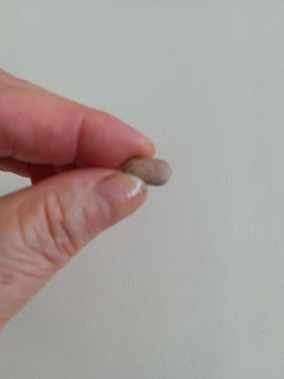 슬림플래닛 녹차카테킨 500mg 애프터밀 — 4.5점을 준 리뷰어가 2021년 9월 올린 사용 사진
