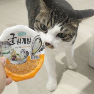 홍양님이 올린 리뷰 사진 1