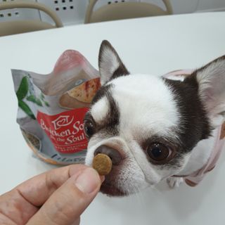 mini unni님이 올린 리뷰 사진 4